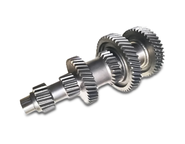 Gear and Shaft