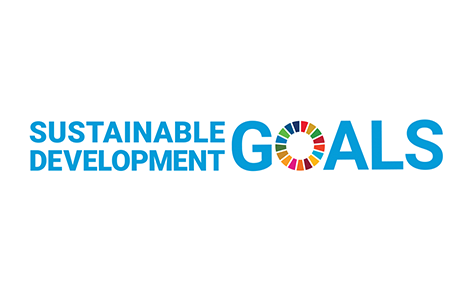 UN SDG Logo