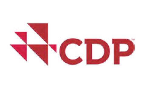 CDP Disclosure