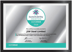 worldsteel Sustainability Champion certificate