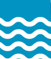 Water, Environment and Sanitation